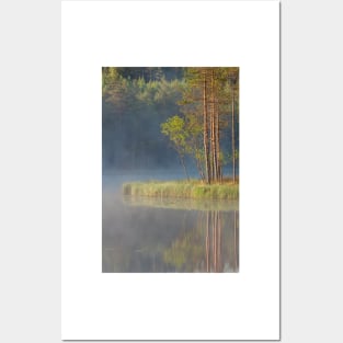 Forest reflecting to small lake at summer morning Posters and Art